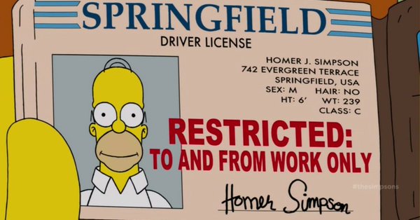 homer_simpsons_driver_licence_02
