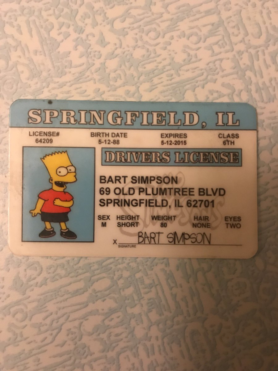 homer_simpsons_driver_licence_03